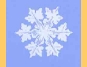 Sneeuwkristal