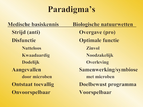 Paradigma's