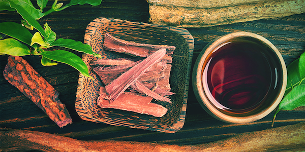 Verbod Ayahuasca