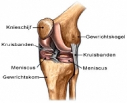 Gewrichten