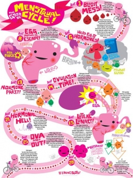 Menstruatie