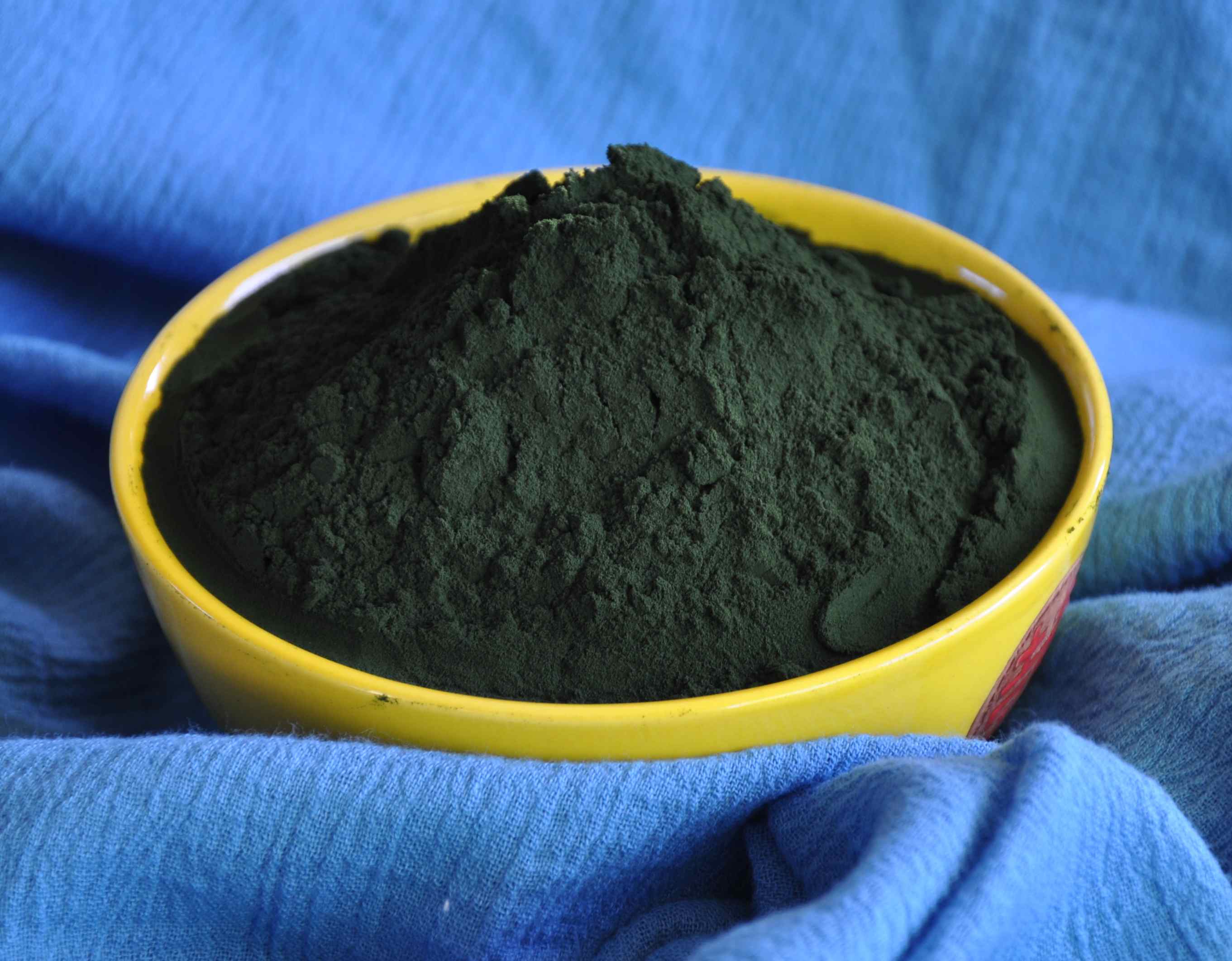 Spirulina (Arthrospira platensis)