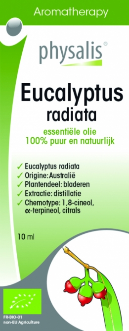 Biologische etherische Eucalyptus Radiata-olie